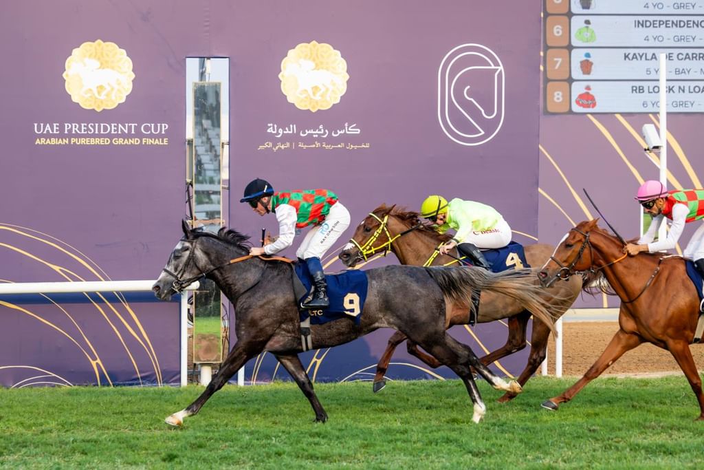 نجاح كبير لكأس صاحب السموّ رئيس الدولة لسباقات الخيول العربية والمهجنة الأصيلة