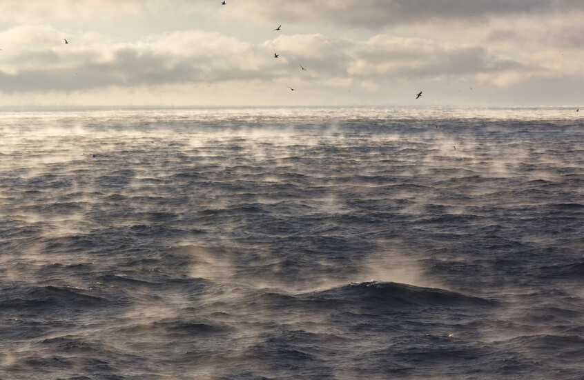 دراسة تحل لغز "الثقب البارد" في شمال الأطلسي وتربطه بخلل في تيارات المحيط