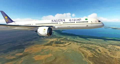 هيئة الطيران المدني السعودي تدشن "تحدِ الطيران AVITHON" بشراكة مع برنامج السعودية الرقمية"