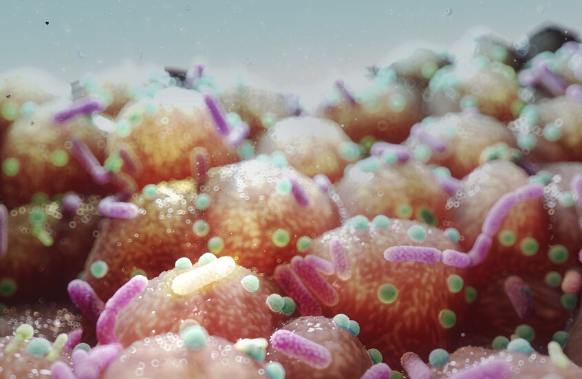 علماء يكتشفون "حاسة عصبية ميكروبية" تربط الأمعاء بالدماغ وتؤثر على الشهية والمزاج