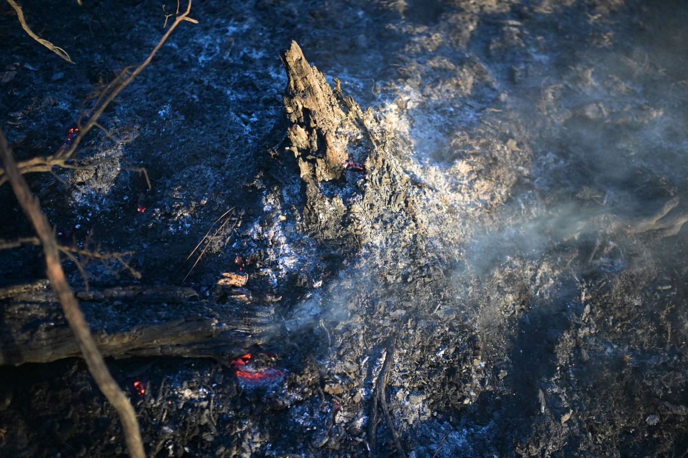 ألسنة اللهب