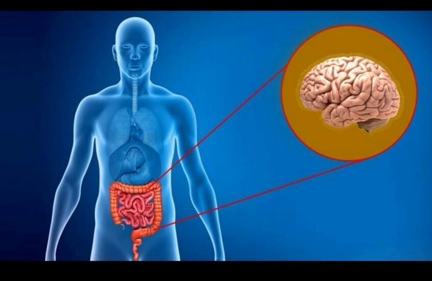 صحة الأمعاء تؤثر على المزاج والقلق والنوم
