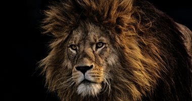 العالم يحتفل باليوم