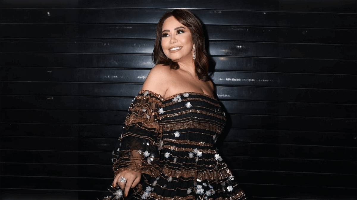 شيرين عبدالوهاب تتهم حسام حبيب بسرقة شيكين بنكيين