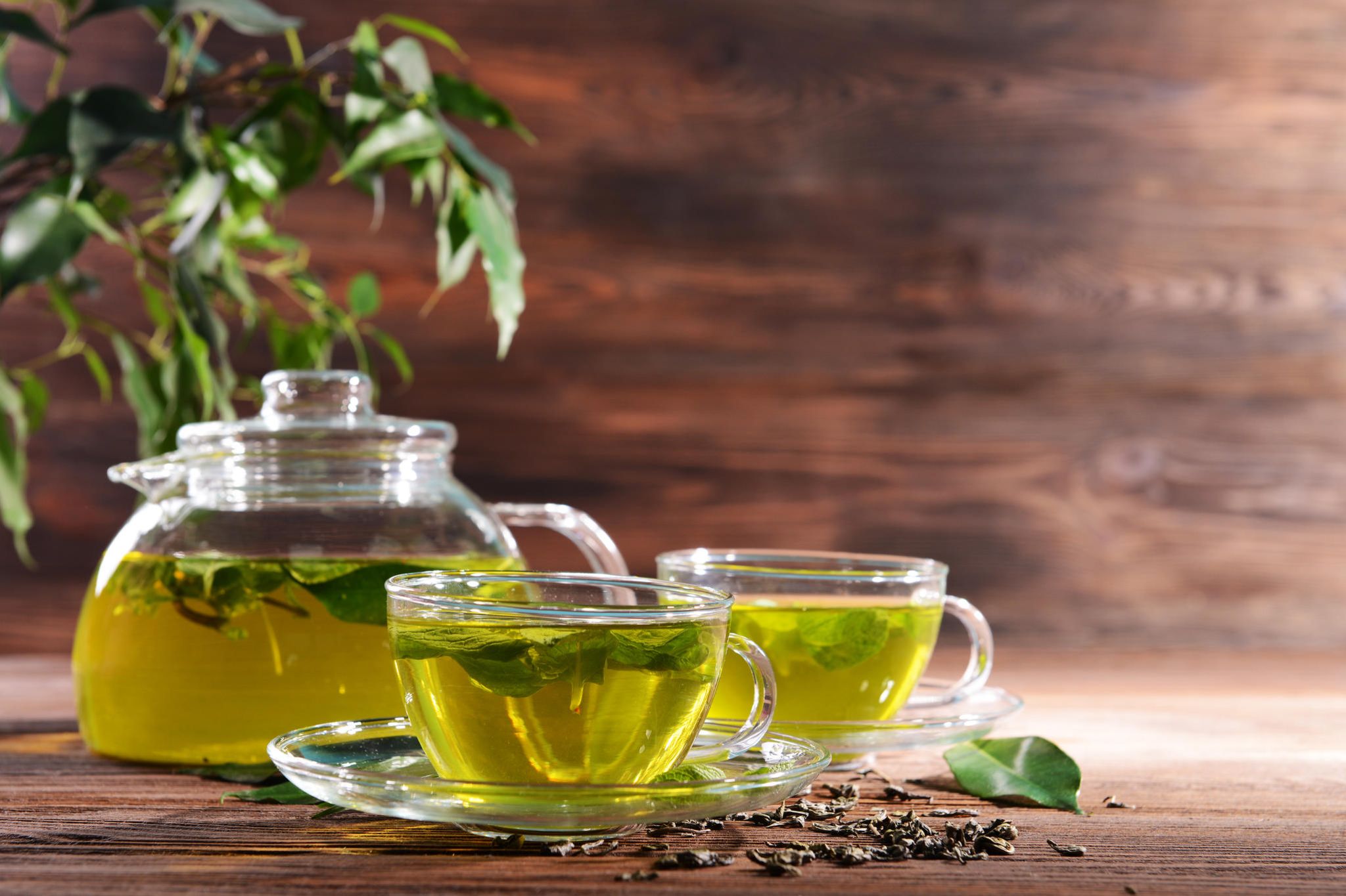 دراسة أمريكية تكشف