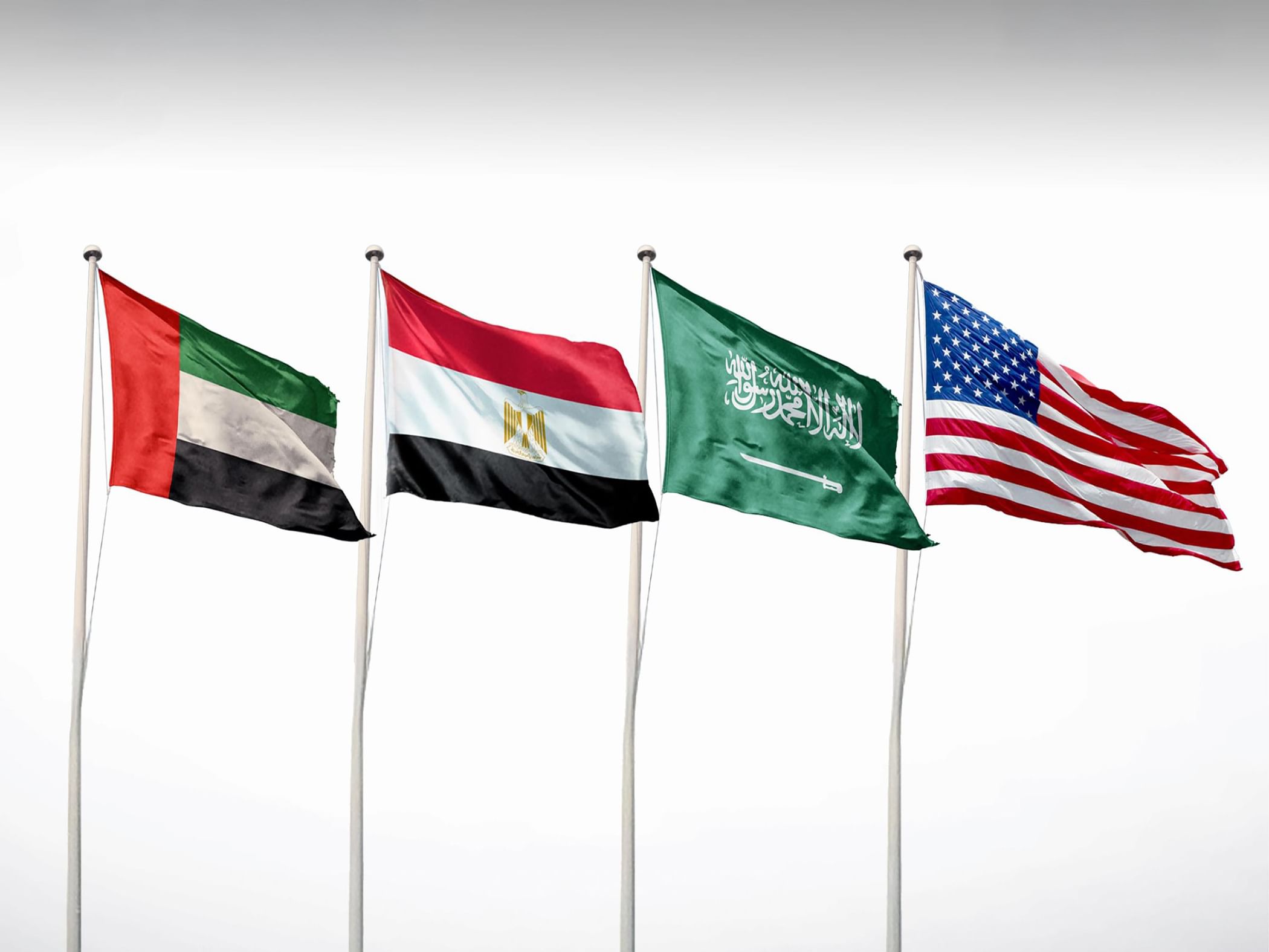الإمارات ومصر والسعودية والولايات المتحدة تطالب بوقف النزاع في السودان