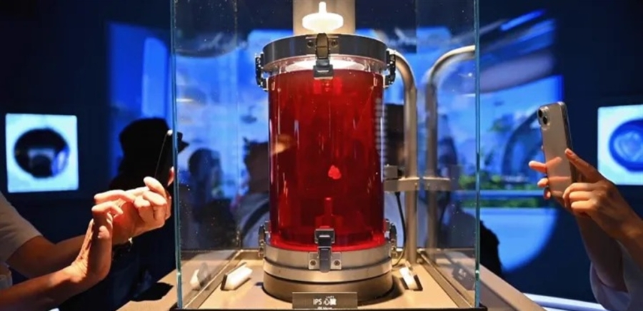 قلب نابض من خلايا المريض.. الطب يقترب من ثورة في زراعة الأعضاء