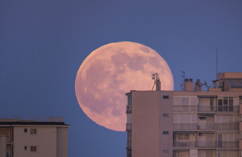 السماء تترقب أضخم قمر عملاق في 2025.. مشهد فلكي نادر يزين ليل الأربعاء