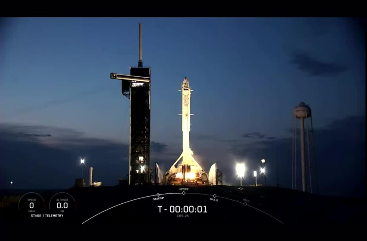 سبيس إكس تطلق قمرًا صناعيًا إيطاليًا لرصد الأرض من مدار منخفض