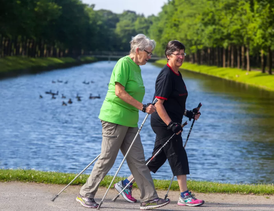 علماء يبتكرون مركبًا جديدًا لعلاج هشاشة العظام