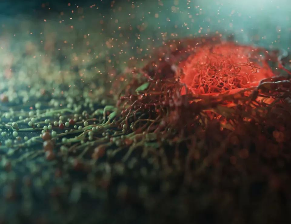  دواء جديد يحقق تقدماً في علاج سرطان الثدي بأورام الدماغ