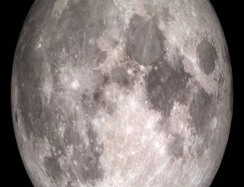 العلماء يخططون لإنشاء قبو لحماية الكائنات المهددة بالانقراض على القمر