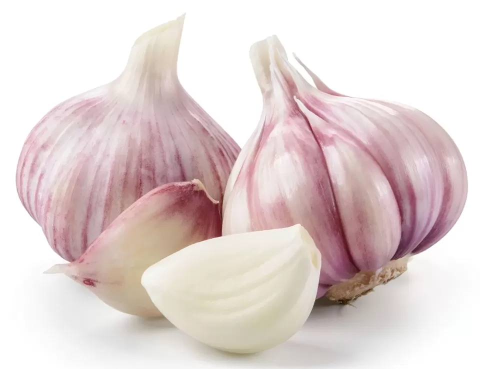 فوائد الثوم الصحية: كيف يعزز الثوم صحتك العامة فوائد الثوم الصحية: كيف يعزز الثوم صحتك العامة