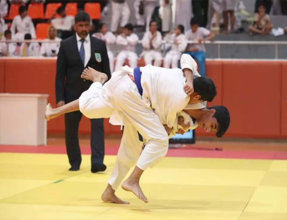 أرشيفية