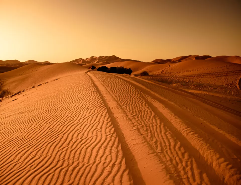 أمطار نادرة تروي عطش الصحراء الكبرى بعد عقود من الجفاف