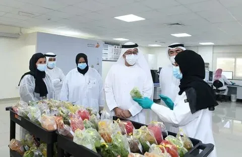 مختبر سلامة الغذاء بأمانة تبوك: 208 زيارات ميدانية و923 عينة مسحوبة