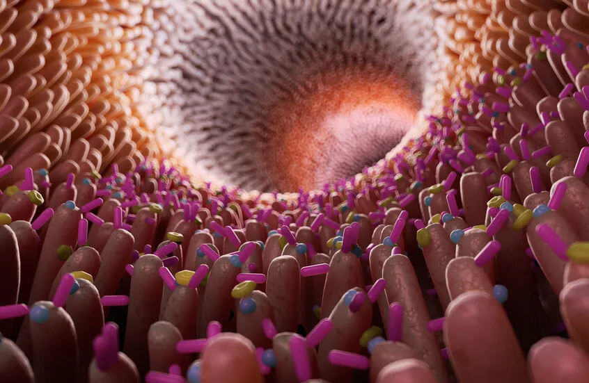 بكتيريا الأمعاء قد تساعد في التخلص من المواد الكيميائية السامة   