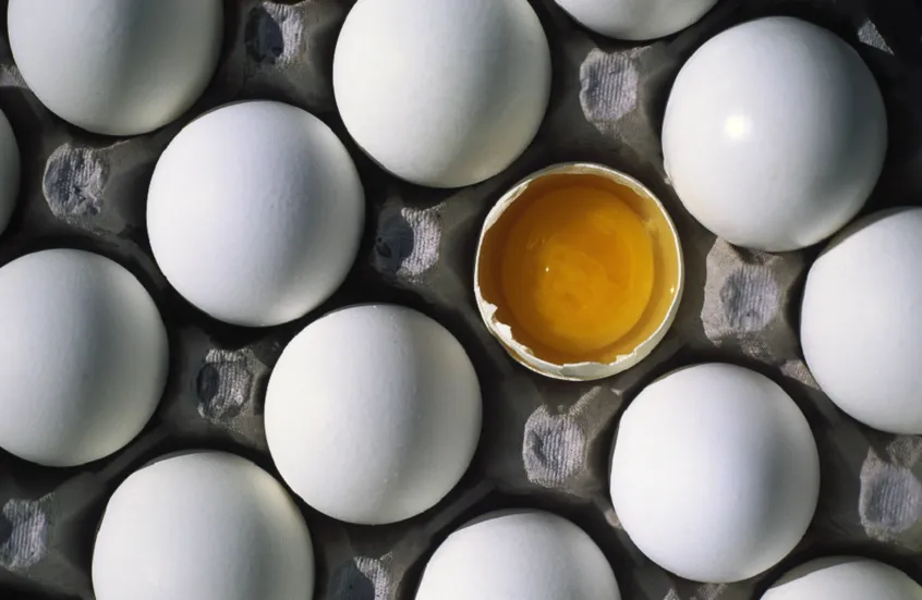 دراسة حديثة: البيض لا يرفع الكوليسترول الضار عند تناوله ضمن نظام صحي