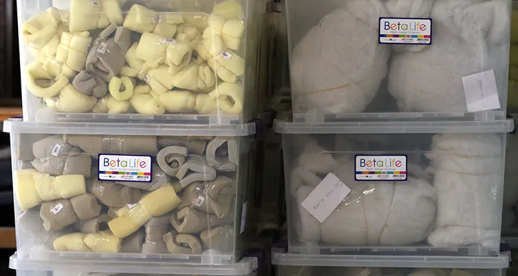 مواطن يسلم عملات نادرة ومديرية آثار حلب تتلقى ألف قطعة أثرية مستردة