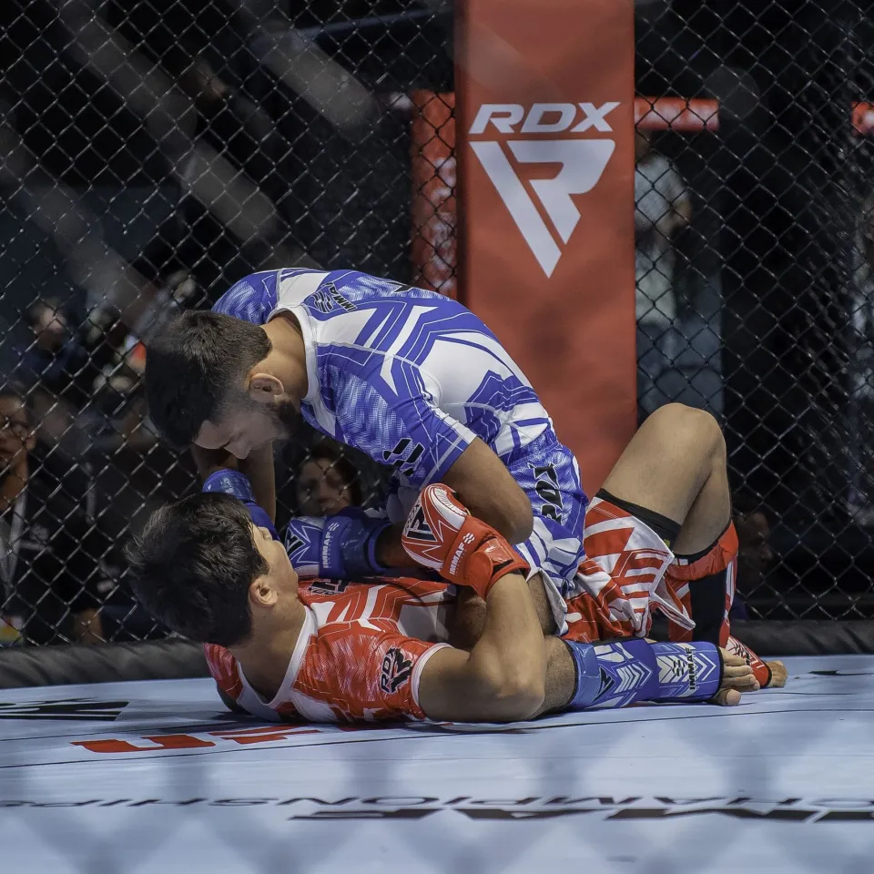 الإمارات تختتم بنجاح