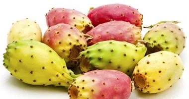 دراسة طريفة: