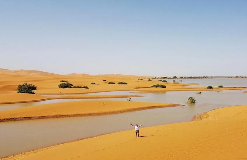 الصحراء الكبرى على موعد مع أمطار غزيرة غير مسبوقة بحلول منتصف القرن الصحراء الكبرى على موعد مع أمطار غزيرة غير مسبوقة بحلول منتصف القرن