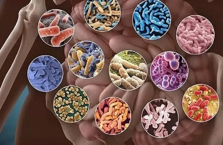 دراسة أمريكية: بكتيريا الأمعاء في الطفولة تؤثر على القلق والاكتئاب لاحقاً