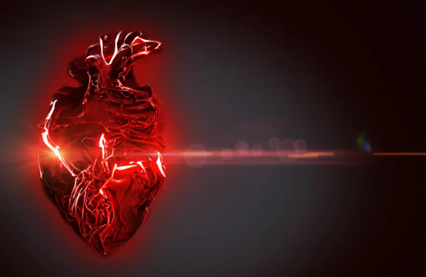 دراسة: استخدام الميلاتونين لفترات طويلة قد يرفع خطر الإصابة بقصور القلب