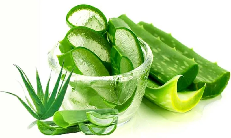 جل الألوفيرا أم جل بذور الشيا.. أيهما أفضل للعناية بالشعر في الشتاء؟