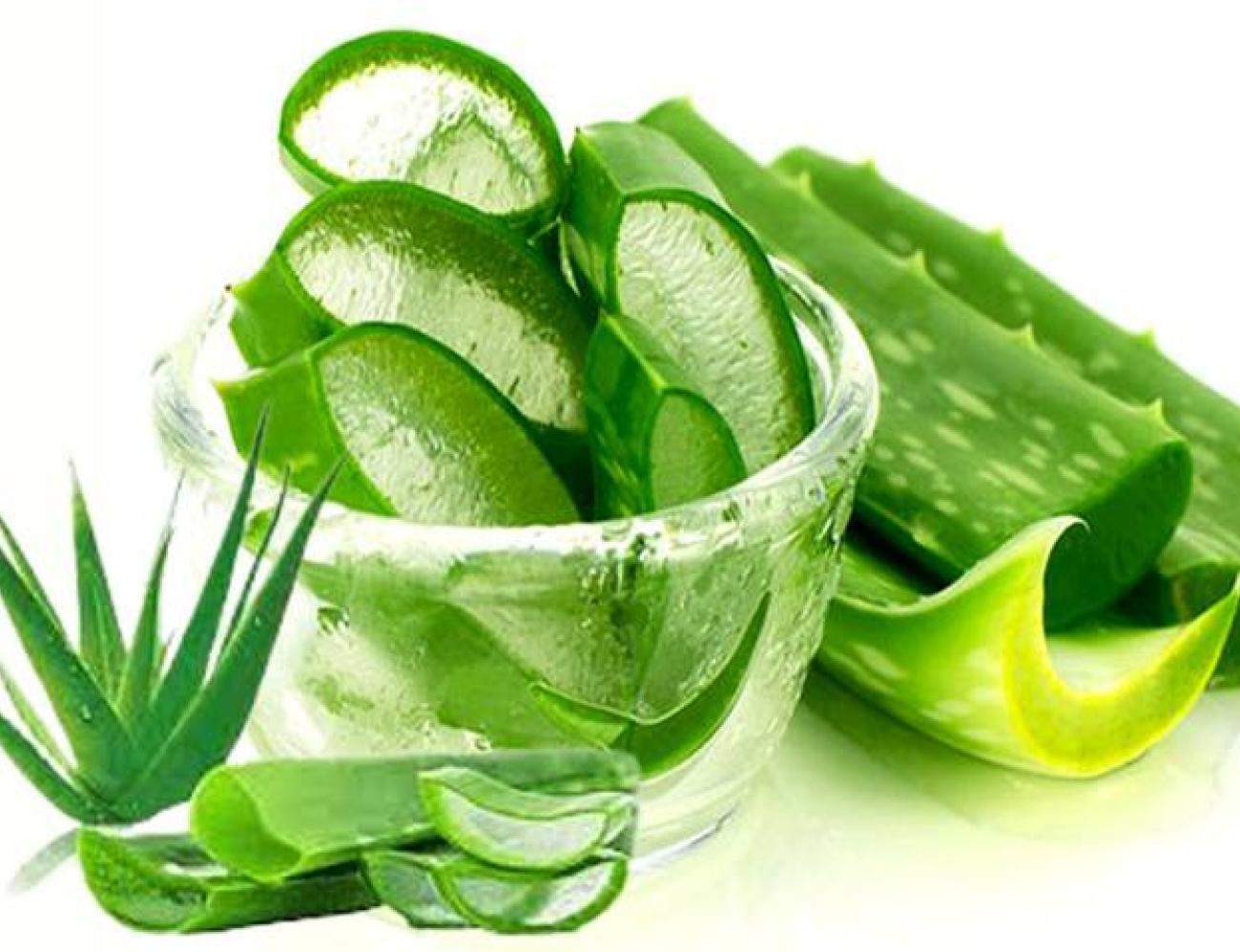 جل الألوفيرا أم جل بذور الشيا.. أيهما أفضل للعناية بالشعر في الشتاء؟